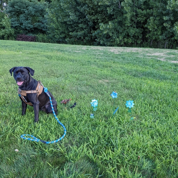 Last chance! Faux Flowers BOSCOVS Blue Metal and Glass Flower Decor Set of Three - Picture 12 of 13